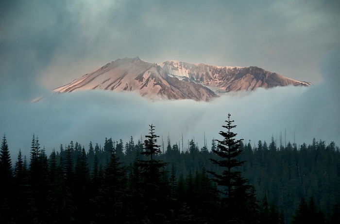 Mountaintop emerging from clouds above a dark forest