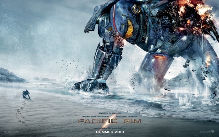 Pacific Rim Jaeger on a beach