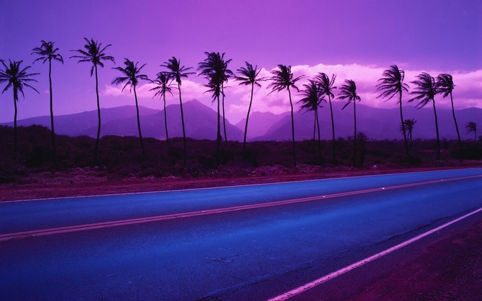 Purple sunset over palm trees and mountains