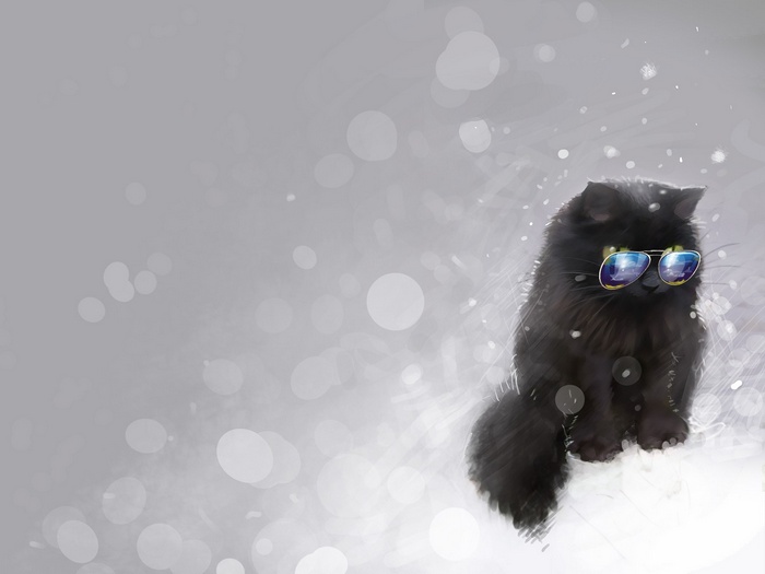 Black cat wearing sunglasses in the snow