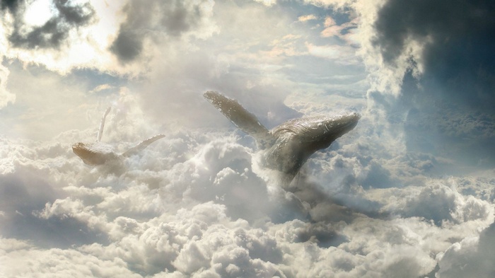 Two whales swimming through clouds