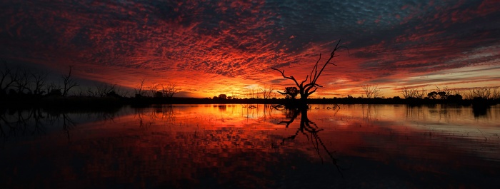 Sunset over a calm lake with dead trees
