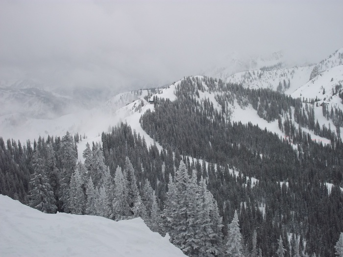 Snowy mountain slopes with pine trees and fog