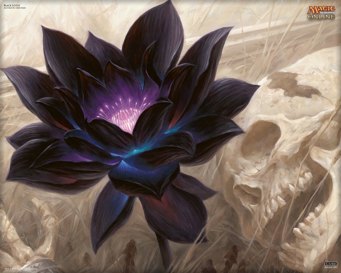 Magic: The Gathering Black Lotus with Skull