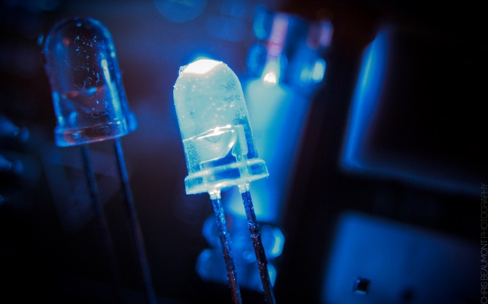 Close-up of blue LEDs on a circuit board