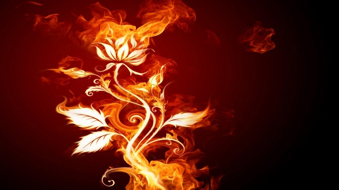 Fiery abstract floral design with white elements