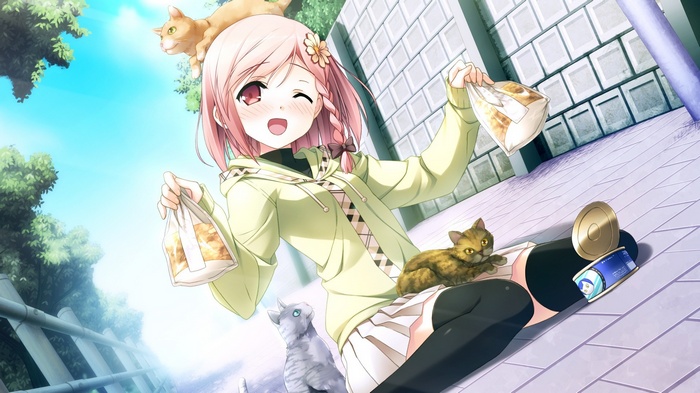 Yua from Your Diary with cats