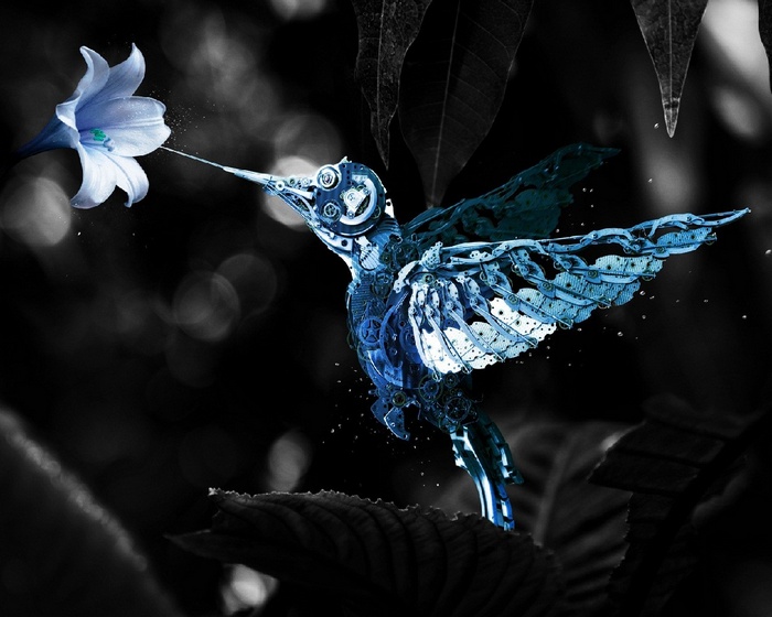 Mechanical hummingbird drinks nectar from a blue flower
