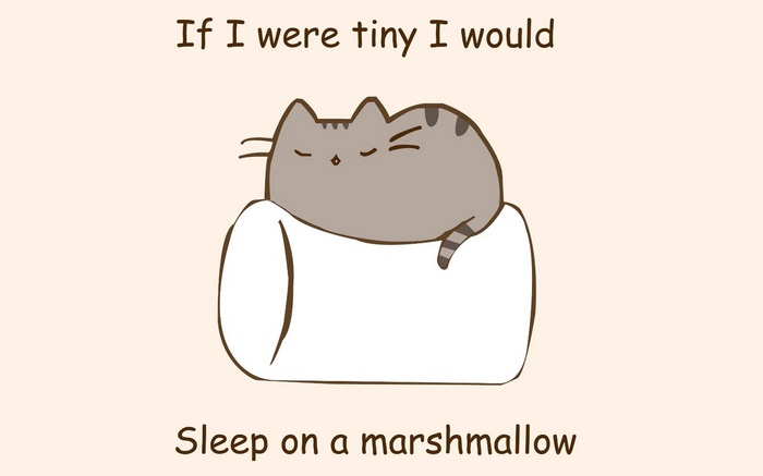 cat, pusheen, pusheenthecat