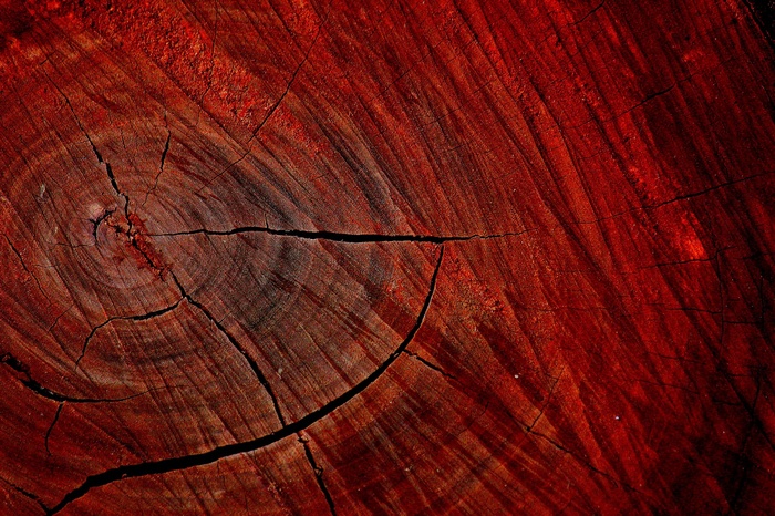 Close-up of a red wood texture with cracks