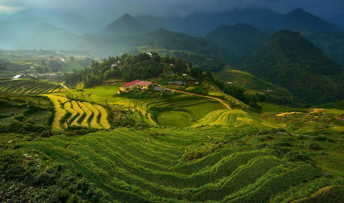 Terraced fields in Vietnam with mountains in the background