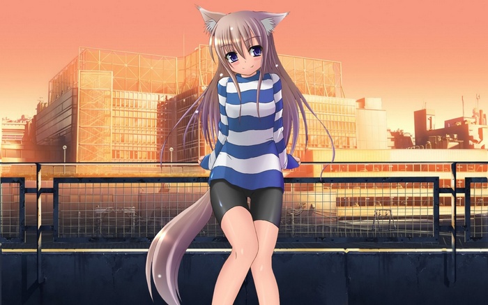 Anime cat girl in striped sweater and shorts