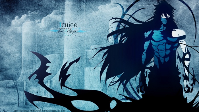 Kurosaki Ichigo in Mugetsu form from Bleach