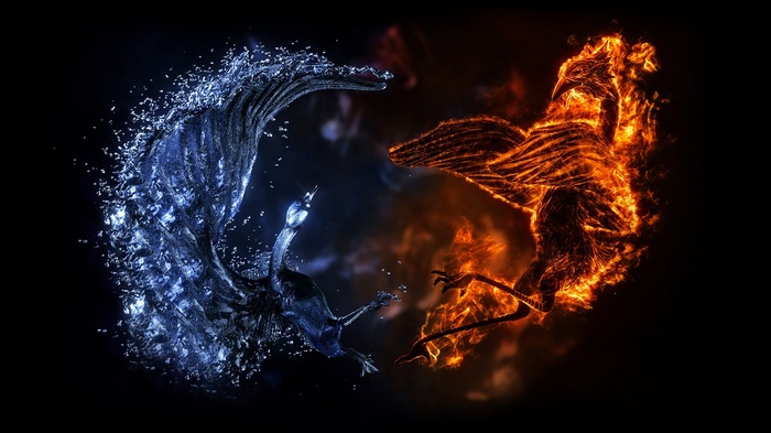 Digital art of fire and ice birds