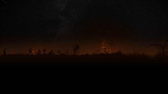 Silhouette of trees against a starry night sky