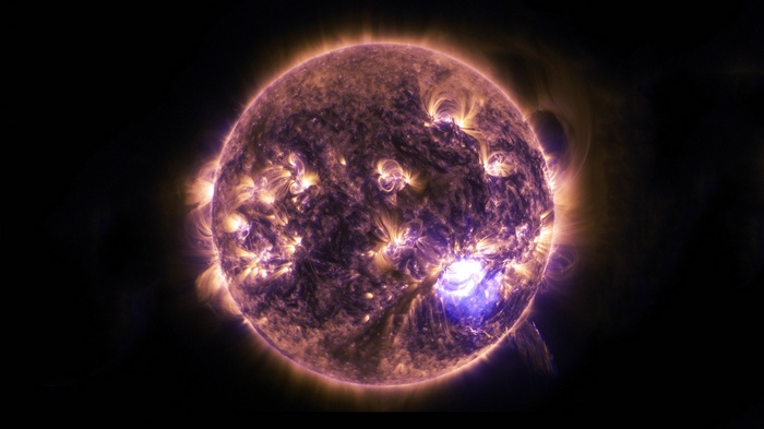 The Sun with solar flares and prominences