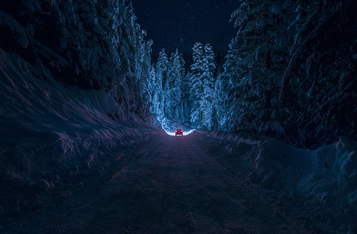 Car driving on a snowy road through a forest at night