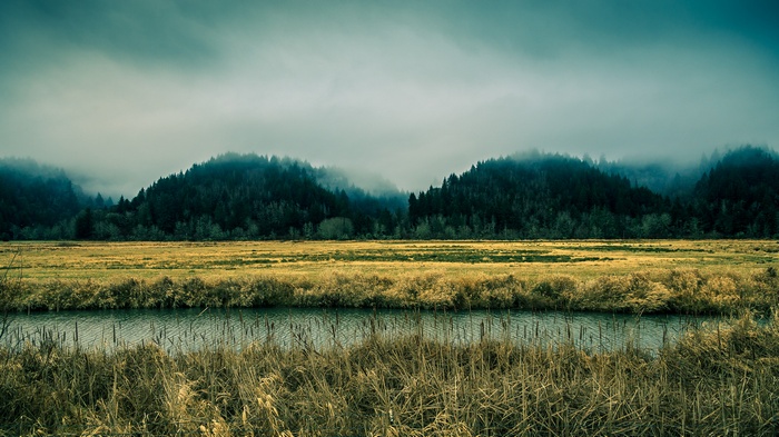 Misty forest hills over a golden field and river