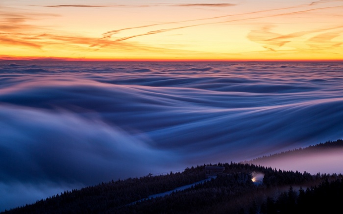 Sunset over a sea of clouds above a forest