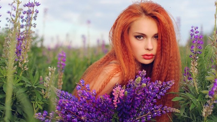 Redhead woman with long hair in a field of lupine flowers