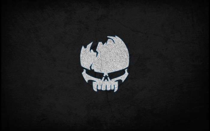 Minimalist white skull on a dark textured background