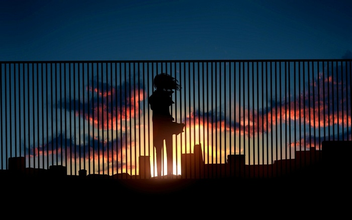 Anime girl silhouette against a sunset sky behind a fence