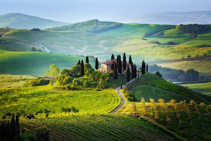 Tuscan farmhouse on a hill with cypress trees and vineyards