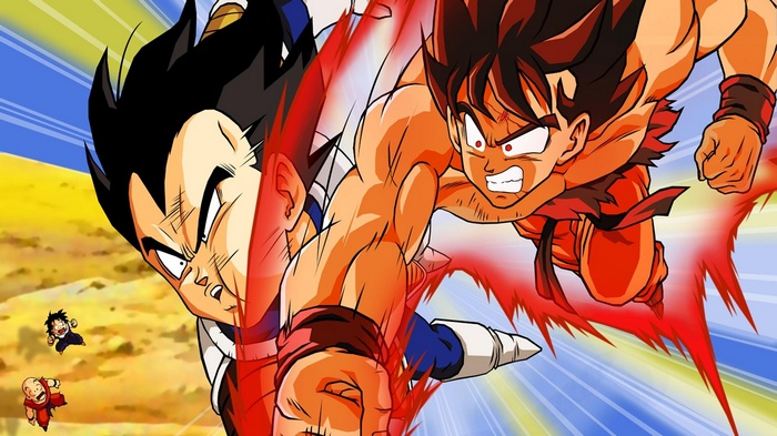 Dragon Ball Z: Goku and Vegeta Fighting
