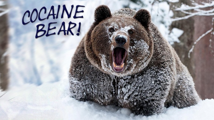 Cocaine Bear in a Snowy Forest