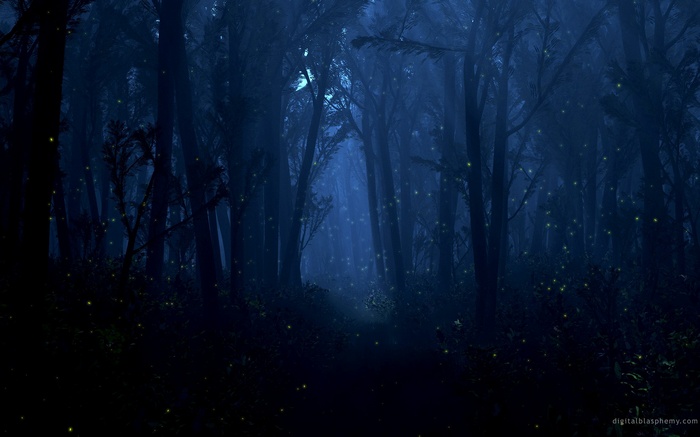 Dark forest with fireflies at night