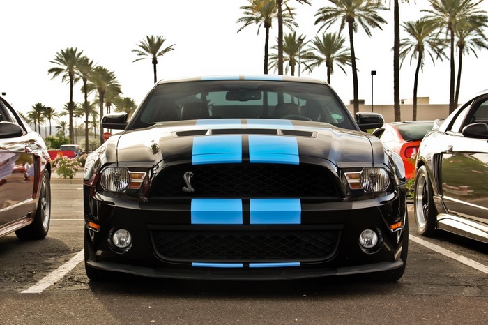 Black Ford Shelby GT500 with blue stripes