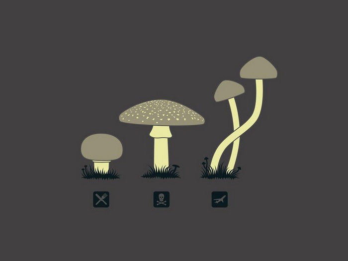 Mushrooms with food, death, and drug symbols