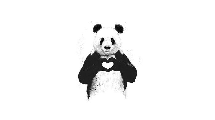 Panda making a heart shape with its hands
