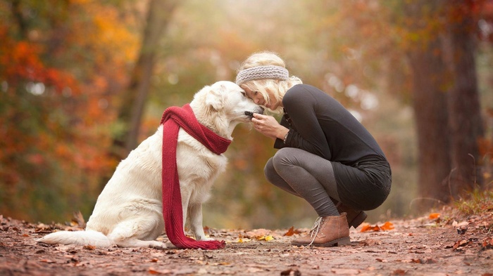 Woman and dog in fall forest with red scarf