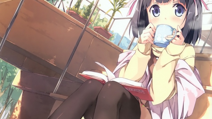 Shiomiya Shiori from The World God Only Knows
