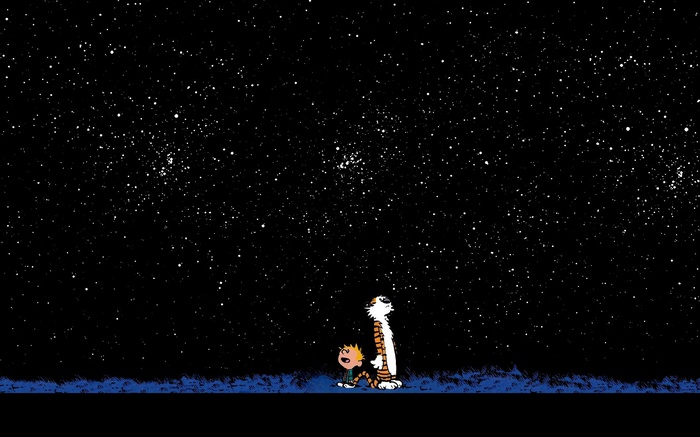 Calvin and Hobbes Looking at the Stars