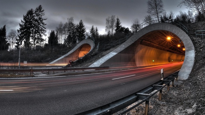 Road and tunnel with light trails