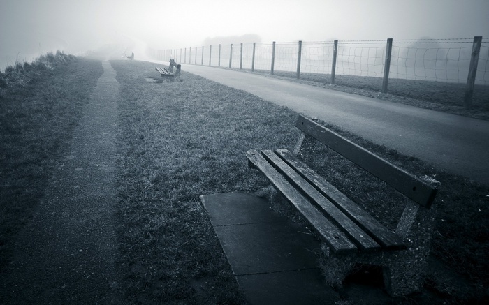 A foggy landscape with a path and benches