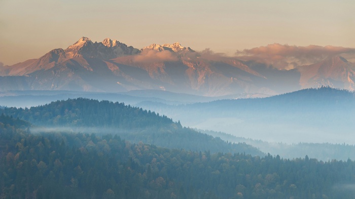Tatra Mountains landscape with mist and forests