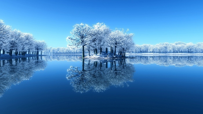 Winter trees reflected in calm blue water