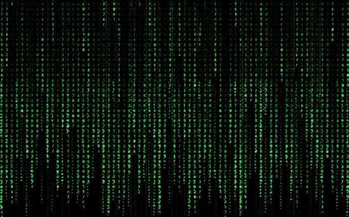 The Matrix Digital Rain