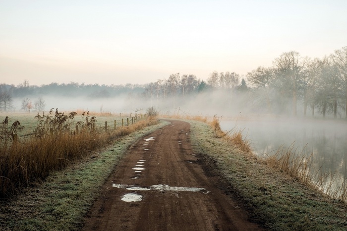 Dirt road through misty landscape with trees and water