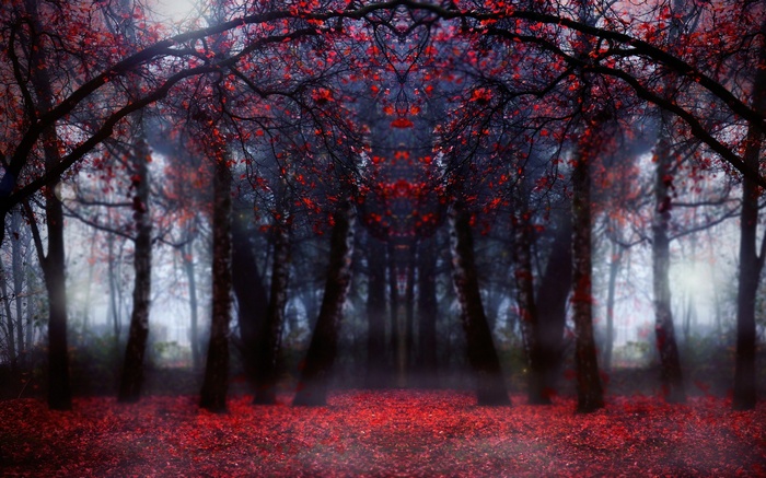 Symmetrical forest with red leaves and fog