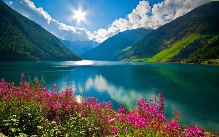 Mountains and lake with pink flowers in Austria