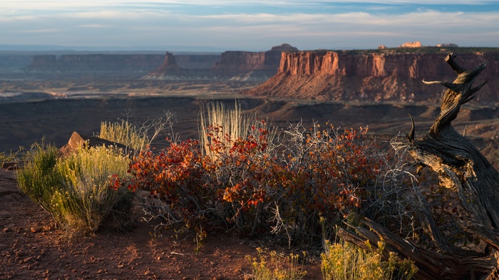 Canyonlands National Park Landscape in Utah