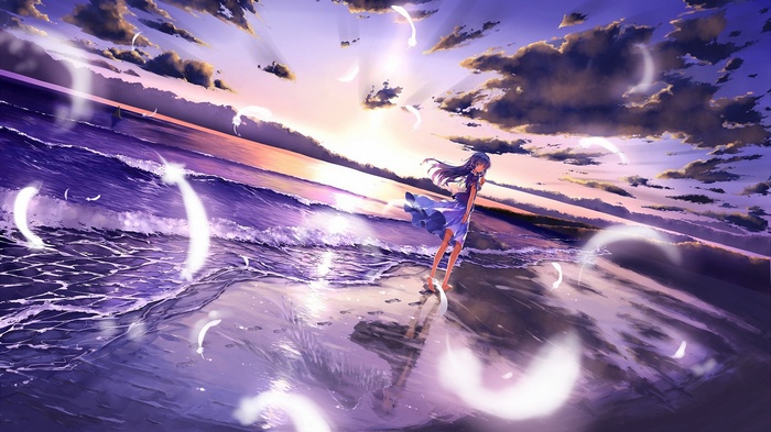 Anime girl on a beach at sunset with feathers