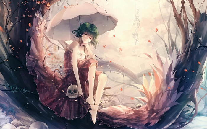 Kazami Yuuka with an umbrella and a skull