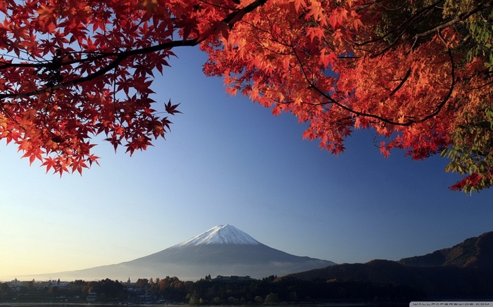 Mount Fuji with autumn leaves and blue sky
