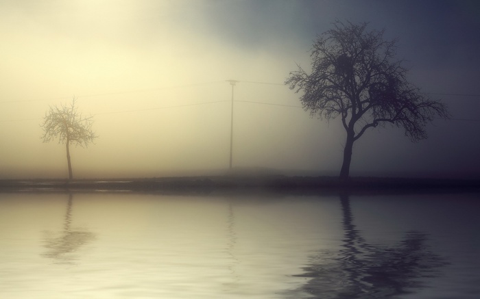 Misty landscape with trees and reflection