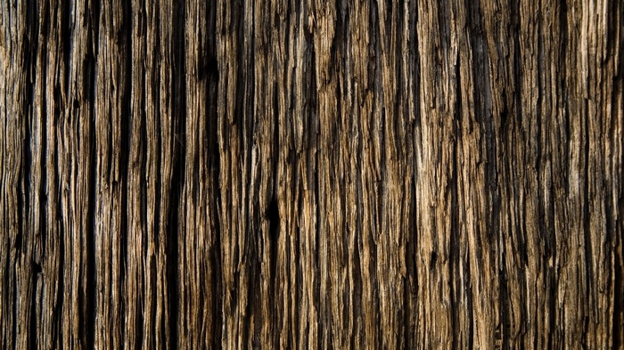 Close-up texture of weathered wood grain